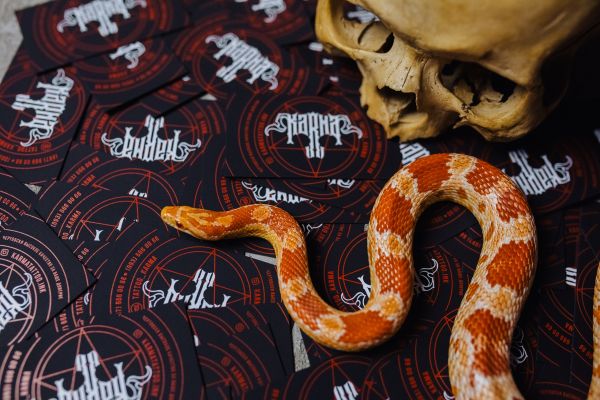 Создание фирменного стиля для Тату-салона