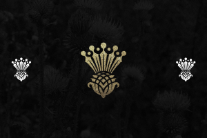 Создание логотипа для Концепции чертополоха