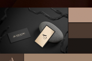 Разработка логотипа и фирменных элементов для Пластической студии