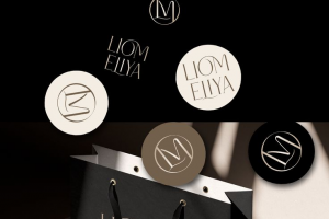 Разработка логотипа и фирменных элементов для Бренда одежды