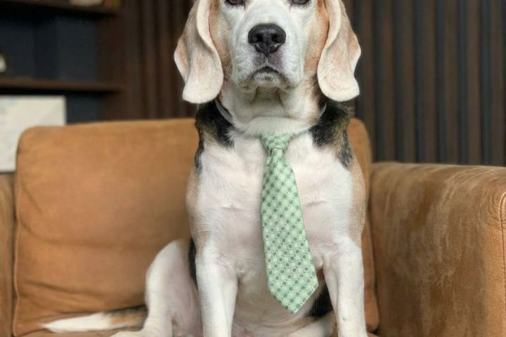 Генерация изображений любой сложности - 5635157