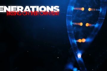 Работа для клиента из США