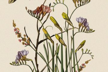 Ботанические сны