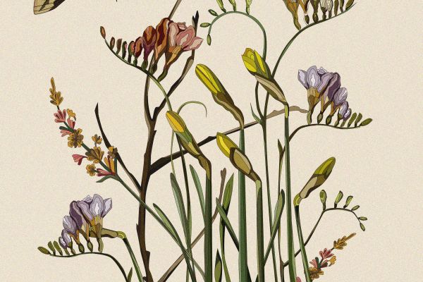 Ботанические сны