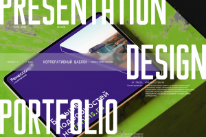 Шаблон презентации компании «Ренессанс страхование»