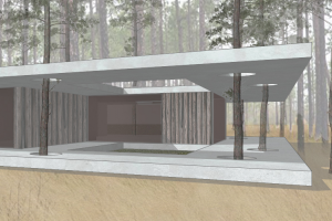 лесная панорама