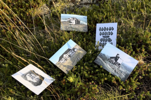 Территориальный брендинг посёлка Дальние Зеленцы