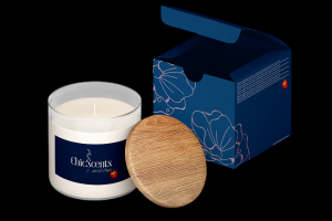 Упаковки дизайна, наклеек,инографика