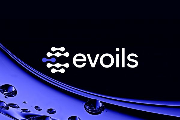Брендинг Evoils | производитель моторных масел