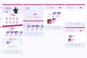 Концепт-вариант-1