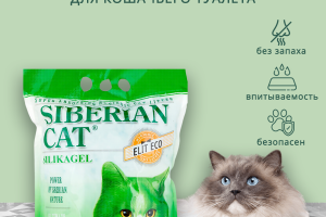 Наполнитель для кошачьего туалета