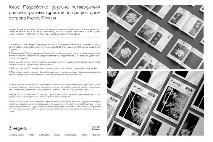 Дизайн журналов, альбомов и путеводителей - 5643119