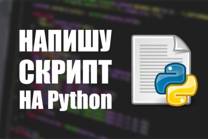 написание скриптов python под ваши услуги