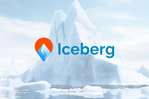 Фирменный стиль для Iceberg ➜ бренд термопакетов