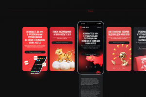 Разработка сайта для China Hustle ➜ доставка товаров из Китая