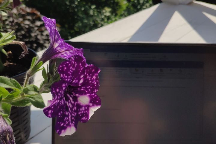 Делопроизводитель