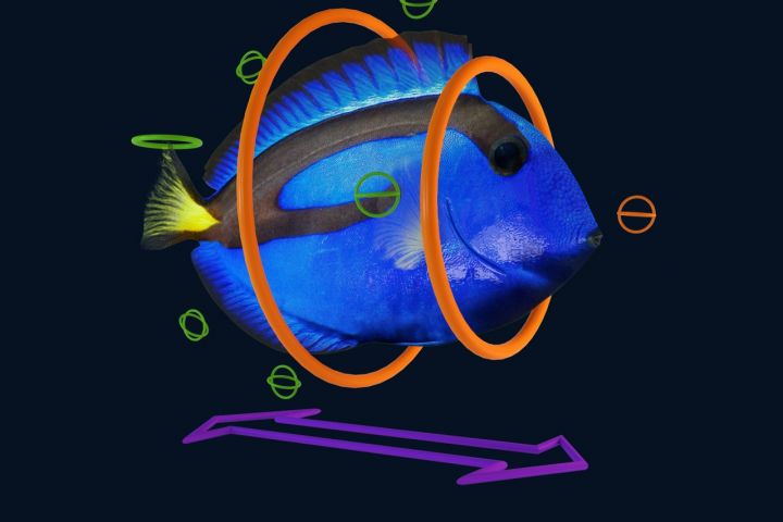 Услуги по 3d графике и визуализации - 5645891