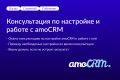 Консультация по настройке amoCRM, Разбор вашей amo crm