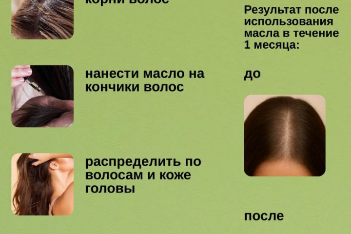 Инфографика для WB - 5648186