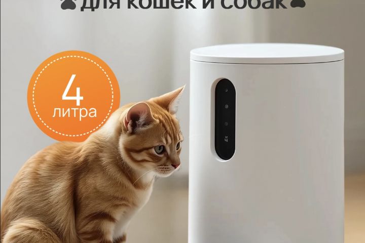 Создание карточек товара для Ozon и WB