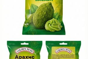 Gemini_Generated_Image_vu2r3avu2r3avu2r