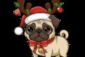 Верстка HTML сайта по макету