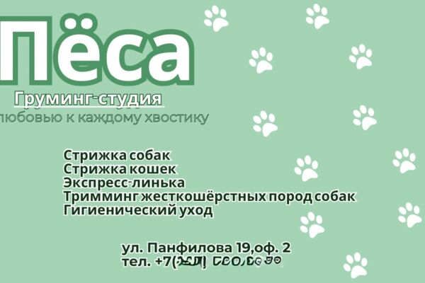 Визитные карточки для груминг-студии и создание плакатов и прайс листов по запросу