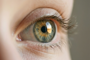 Работа 4122774