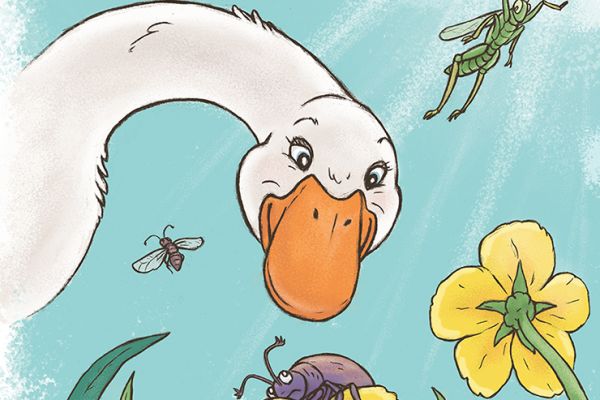 Иллюстрации для детской книги