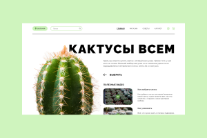 Магазин комнатных растений