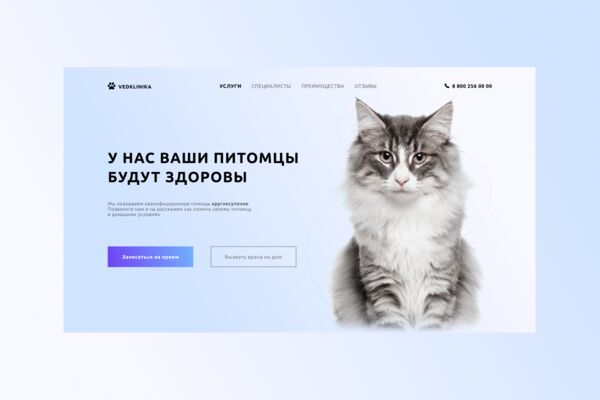 обложка вет клиника.png