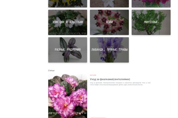 FireShot Capture 010 - Коллекция Голубевой Татьяны – онлайн-мага