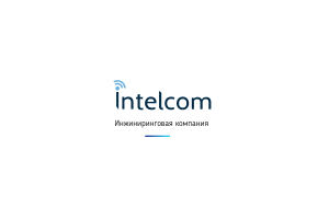 Брендбук Intelcom
