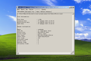 JClass Plugin для TotalComander