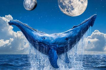 картинки для ТГ канала