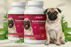 Jet Pet корм для собак и кошек