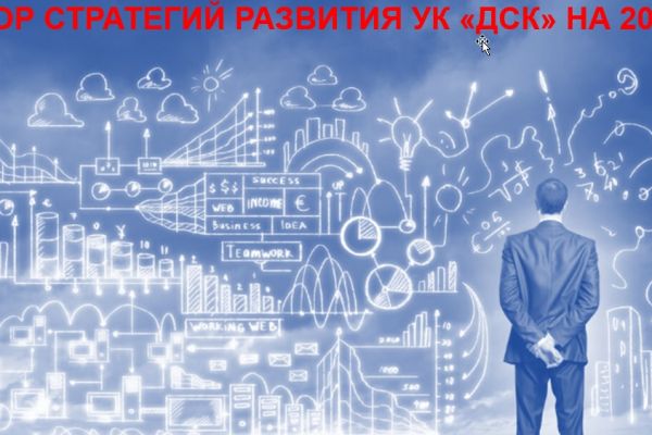 Стратегия развития компании: поиск ниш в новых для компании отраслях.