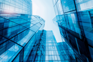 Яндекс Директ как управляемый источник обращений для бизнеса