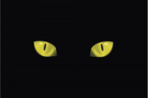 Кошка во Тьме