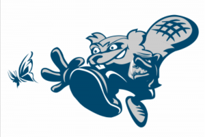 Бобр Вектор