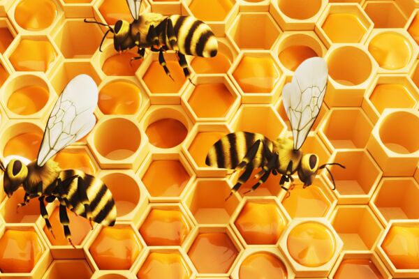 Honeycomb_00054.png