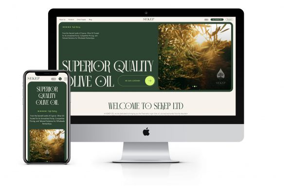 Разработка интернет-магазина