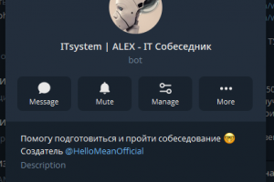 Бот для IT собеседований