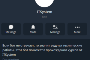 ITSystem бот для тестирования