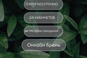 Сайт для бьюти коворкинга NiNi