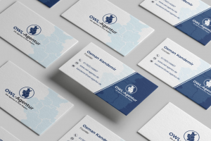 Разработка визитка для агенства