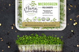 Разработка упаковки для выращивания