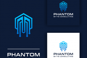 Разработка логотипа для консалт организации