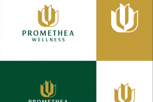 Разработка логотипа для эко организации