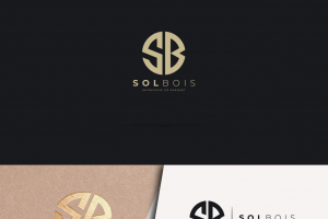 Разработка логотипа для бренда